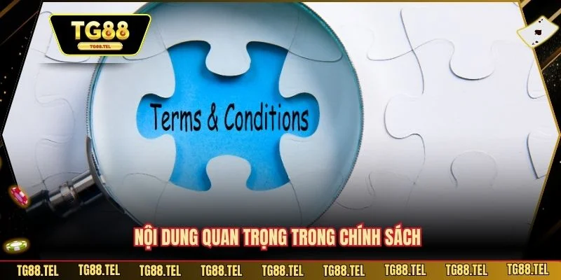 Điều Khoản Điều Kiện 2 Nội dung quan trọng trong chính sách