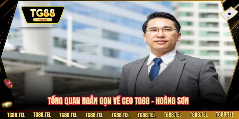 CEO TG88 1 Tổng quan ngắn gọn về CEO TG88 – Hoàng Sơn